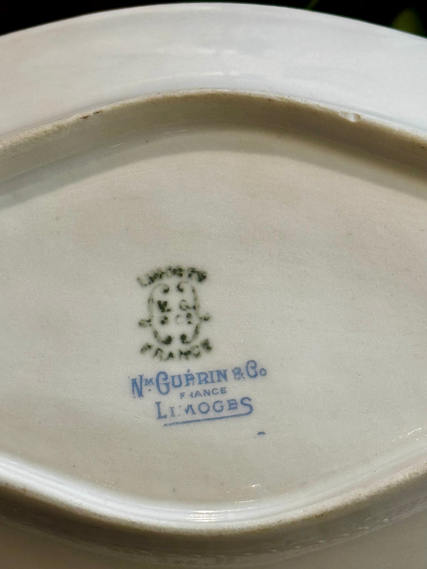 Antique Wm. Guérin & Co. Limoges France Celery Dish | Hand-Gilded Floral Porcelain