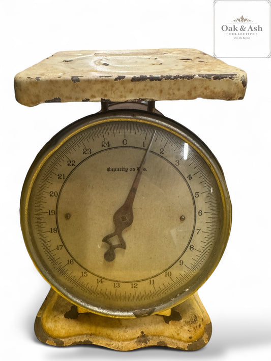Measured Memories | Vintage Cream Metal Kitchen Scale (25 lb. Capacity)